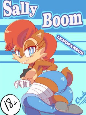 “Sally Boom: ¡Explosión de Emociones!”