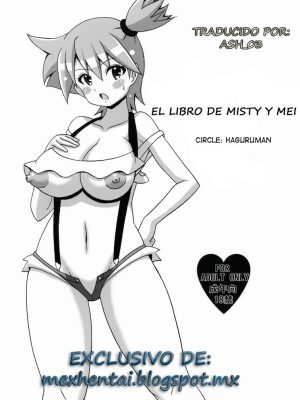 El libro de misty y mei