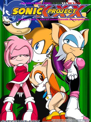 Proyecto Sonic XXX – Parte 1