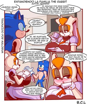 [TRanger] Expanding The Rabbit Family (Sonic Porn)