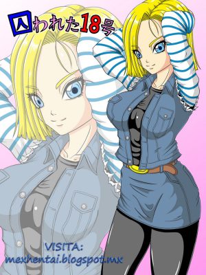 Torawareta 18-Gou DbZ