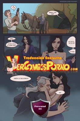The Witcher Inside The Cave – ToxyArt