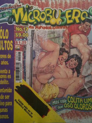 Microbuseros 17