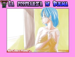 “[Aarokira] La Esperanza de Bulma”