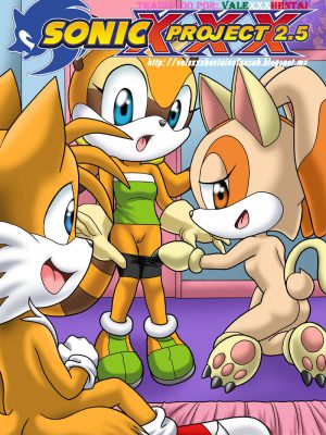 Proyecto Sonic XXX – Parte 2.5