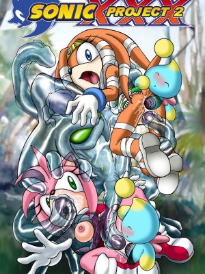 Proyecto Sonic XXX – Parte 2